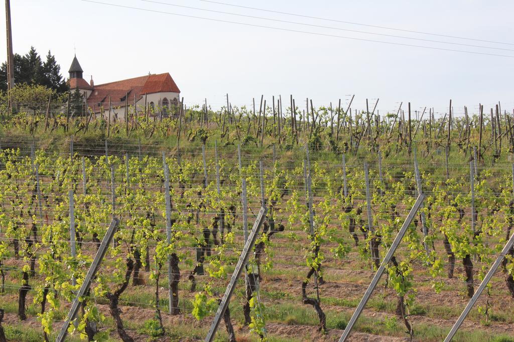 De L'ours Grognon Holiday home *